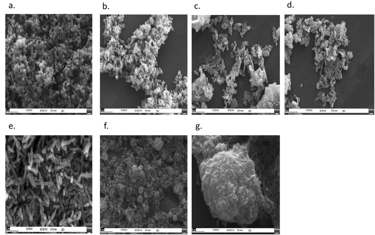 New Biological Process creates Low Impact, Phosphorus Nanofertilizer