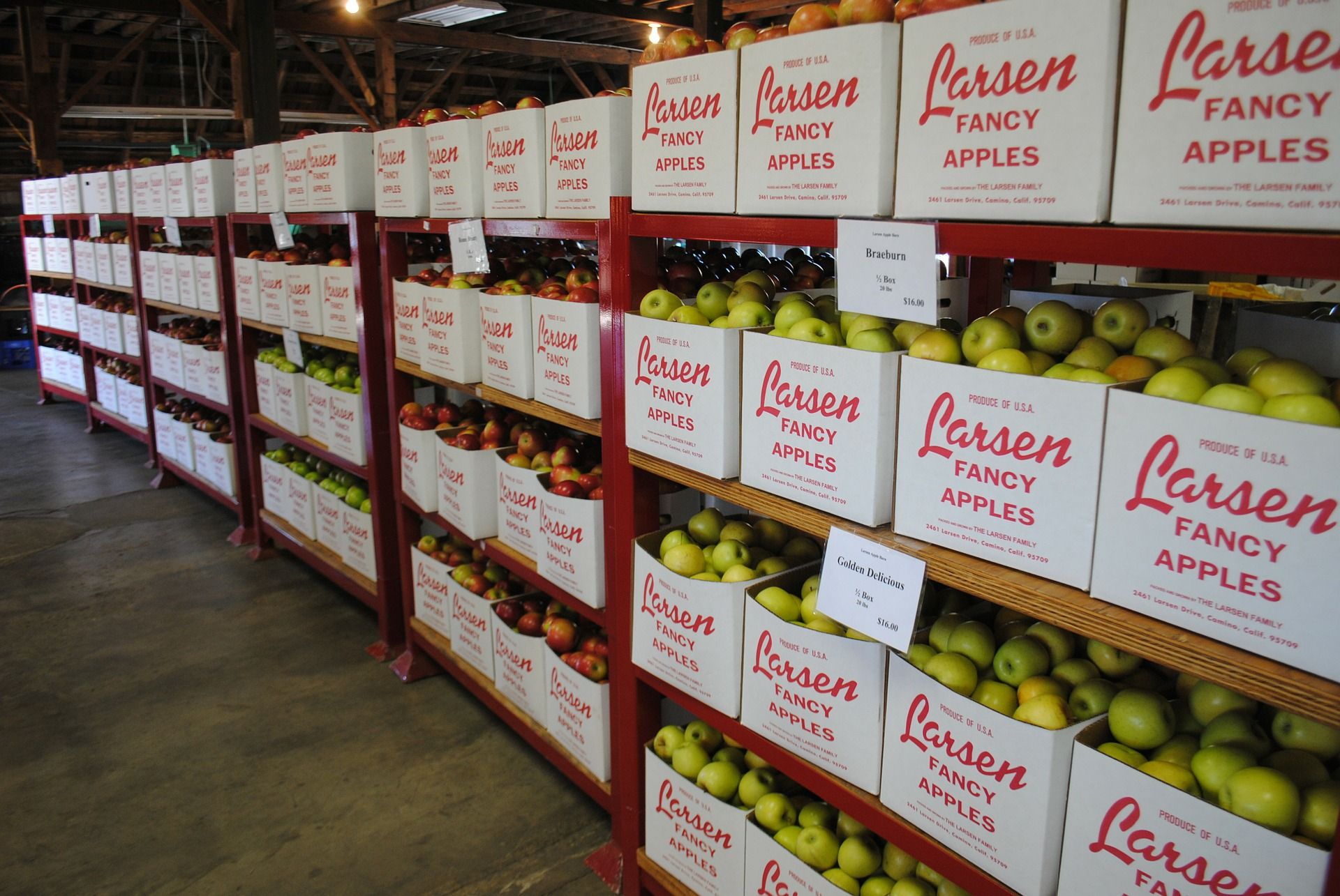apples-346772_1920.jpg