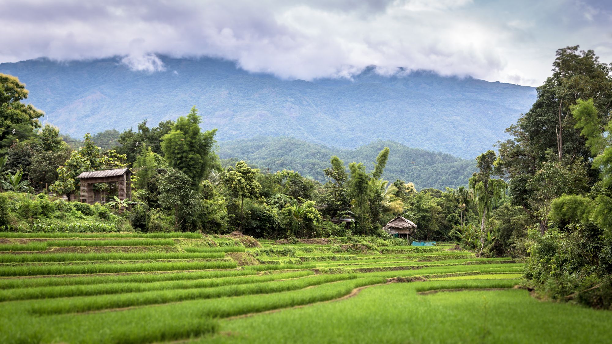 India’s Crop Nutrition is Turning to Nanofertilizer