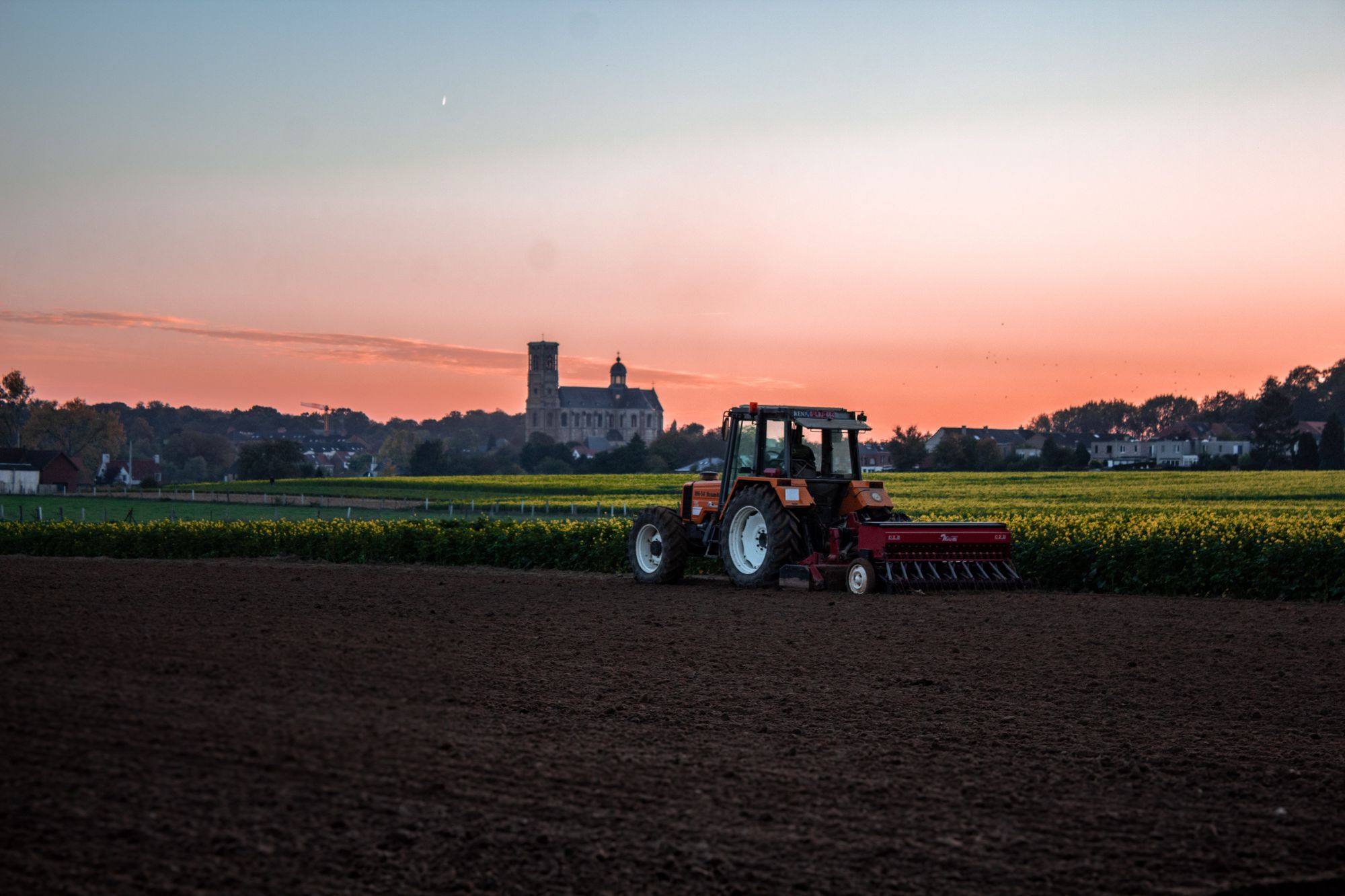 Study finds Nanofertilizer Improves Rice Nutritional Value