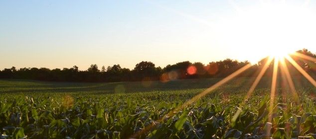 Fertilizer Feedstock Demand Growth Leads to Sustainable Solutions