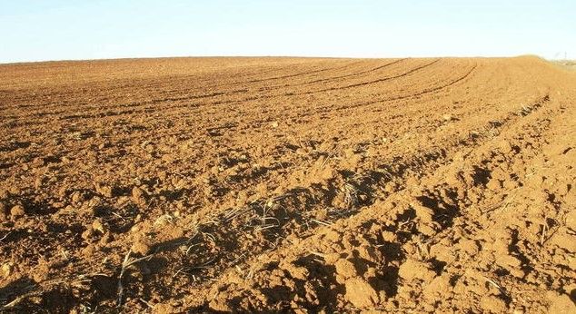 Science Finds the Real Reason for Phosphorus Shortage in Soils