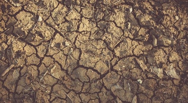 Science Finds the Real Reason for Phosphorus Shortage in Soils