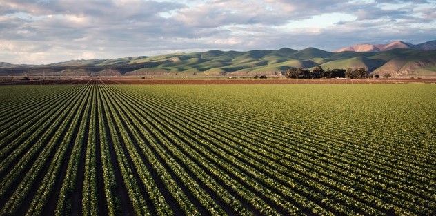 Science Finds the Real Reason for Phosphorus Shortage in Soils